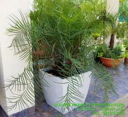 > </div>
<div class=